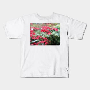 Red Japanese Maple Leaves Kids T-Shirt